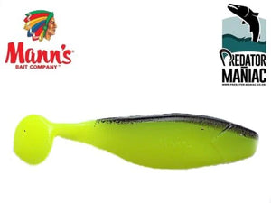 Mann's bait company 6" shad M-080.  Fishing lures